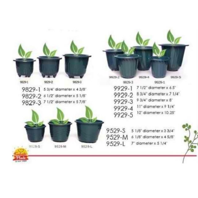 Sunnyware 129-A | 36 pcs 3" Flower Pot