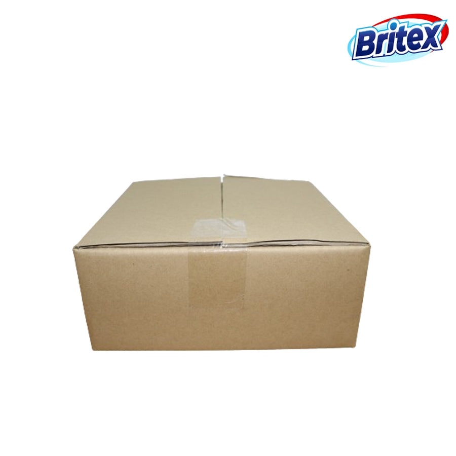 Britex 10PCS On Hand Carton box corrugated cardboard box packaging Stock No.T14 #125