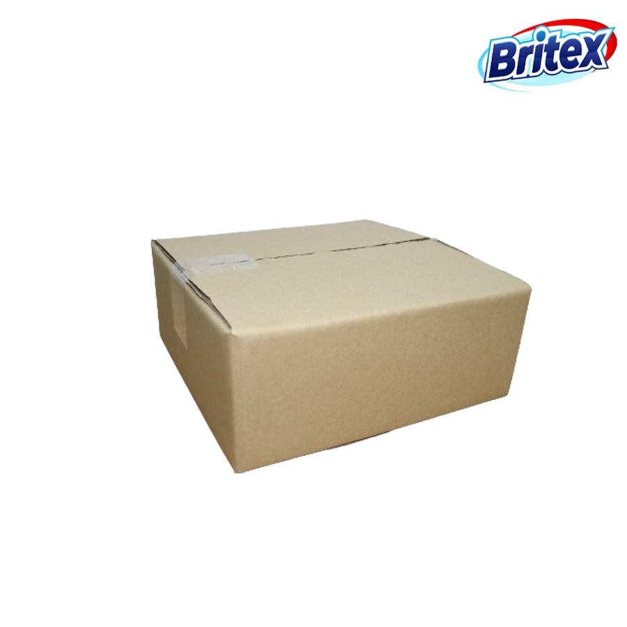 Britex 10PCS On Hand Carton box corrugated cardboard box packaging Stock No.T14 #125